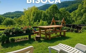 Pensiunea Poiana Marului - Bisoca
